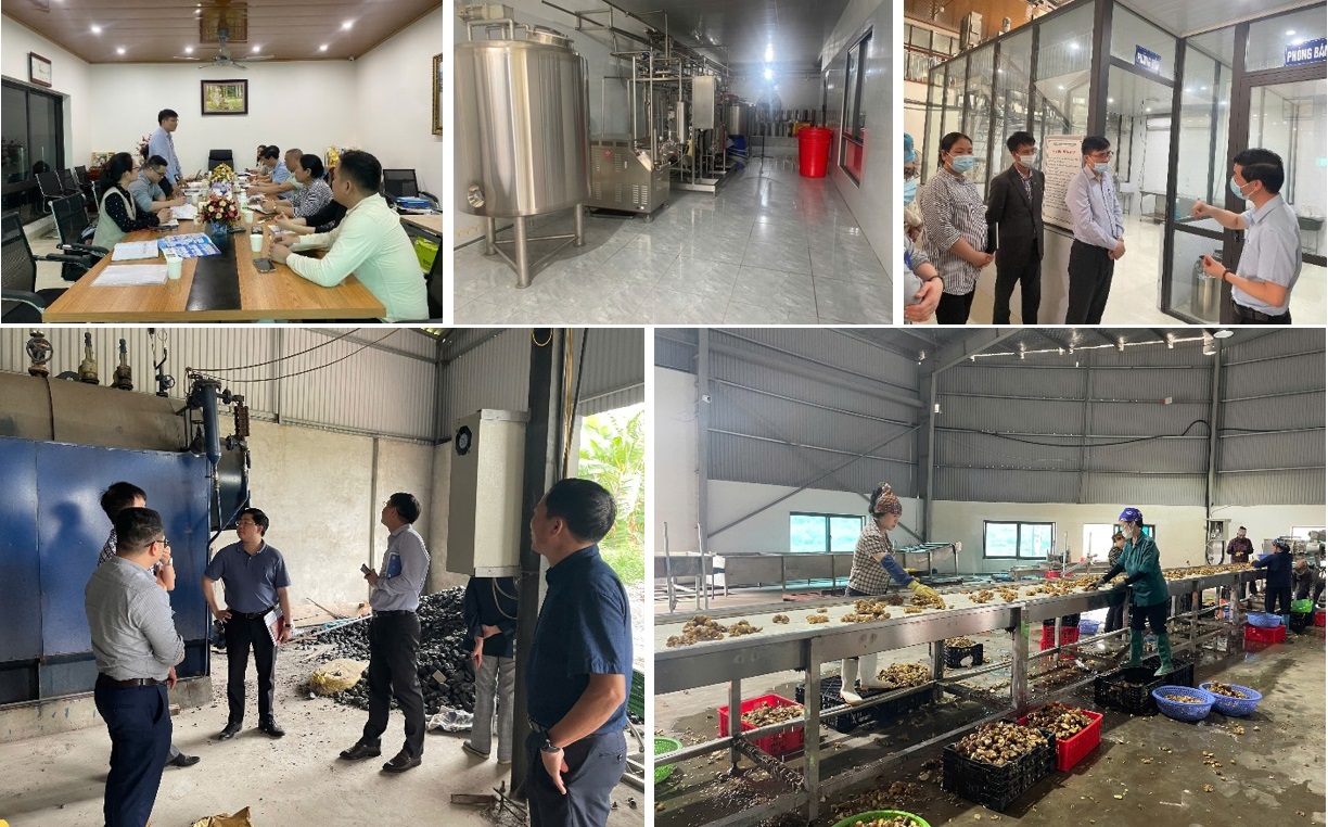 SATITECH đồng hành cùng doanh nghiệp chế biến nông sản