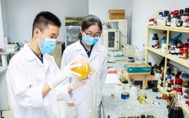 Khuyến khích thanh niên tích cực tham gia phát triển khoa học công nghệ, đổi mới sáng tạo, chuyển đổi số