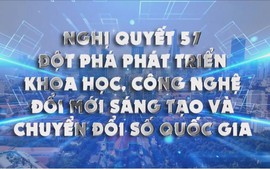Sẵn sàng tiếp nhận, xử lý phản ánh, kiến nghị, sáng kiến, giải pháp phát triển KHCN, đổi mới sáng tạo và chuyển đổi số quốc gia
