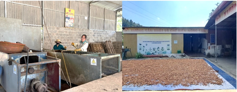 Trạm công nghệ dùng chung: Giải pháp thúc đẩy sản xuất OCOP