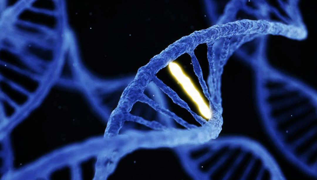 Bứt phá trong y sinh, môi trường và vật liệu: Khi khoa học chạm gần hơn đến đời sống