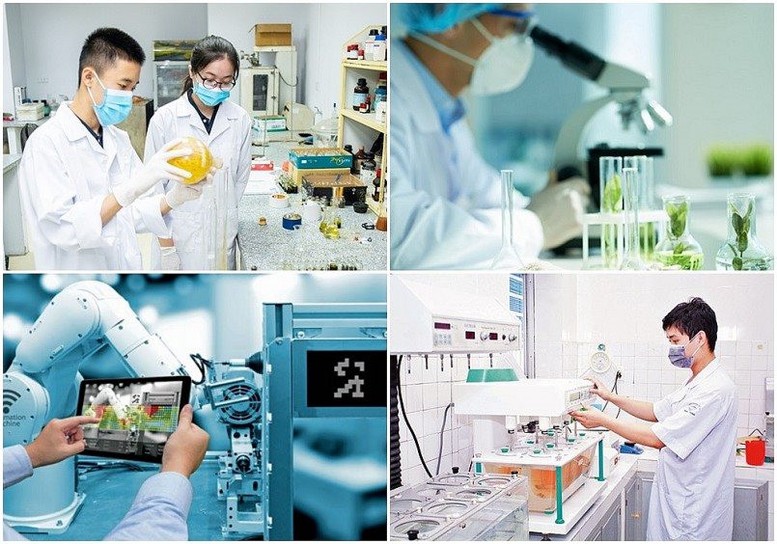 Xử lý khó khăn trong lập, phân bổ, giao dự toán cho hoạt động khoa học, công nghệ và đổi mới sáng tạo